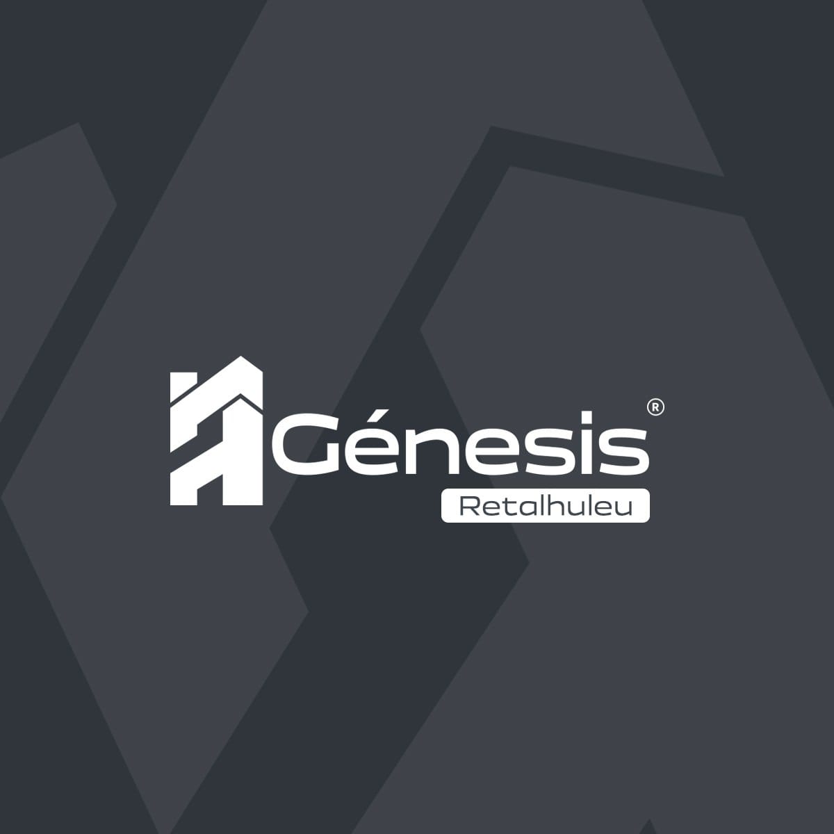 Constructora e Inmobiliaria Genesis