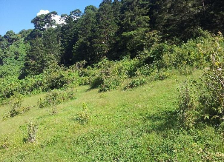 Terreno En Venta En Vista Hermosa IV Zona 16 Guatemala - Foto 2 de 6