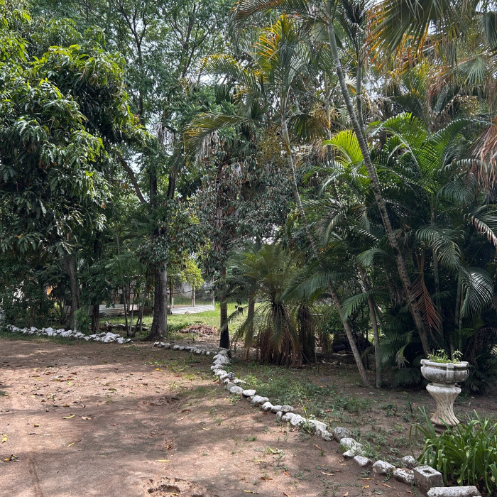 Terreno En Venta Km. 31.5 De Aguacaliente, El Progreso - Foto 2 de 4