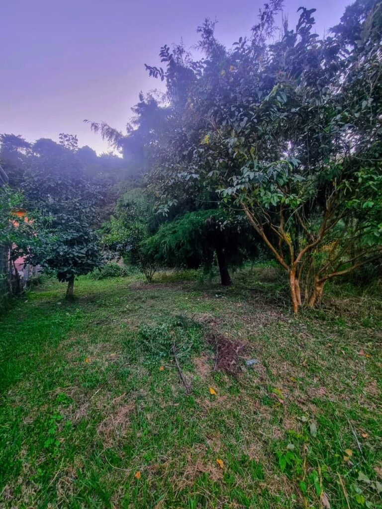 En Venta – Vendo Hermoso Lote En San Raymundo - Foto 5 de 11