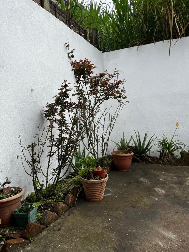 En Venta – Casa De Dos Niveles Hortensias Primium - Foto 3 de 3