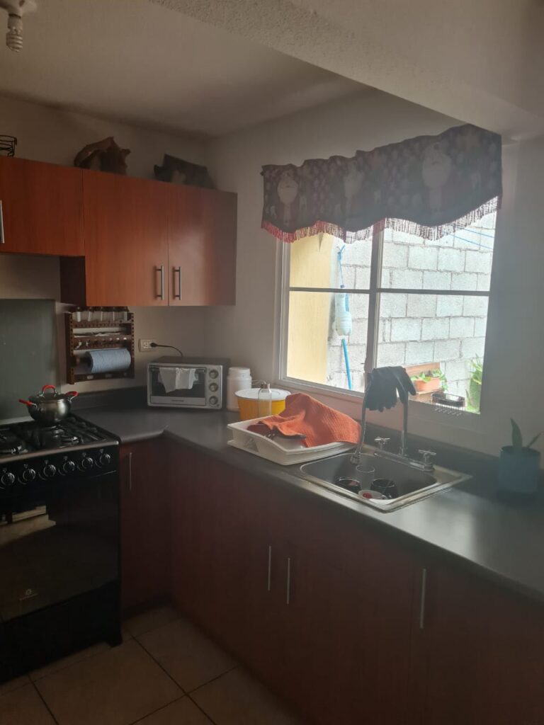 Casa En Venta, Alamedas De Santa Rita II, Villa Nueva - Foto 4 de 12