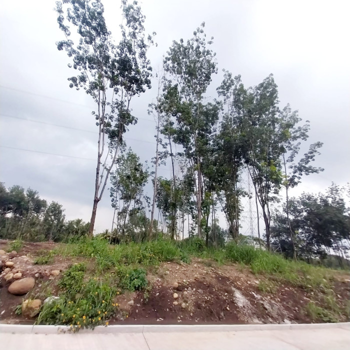 Terreno Residencial En Venta En San Sebastián, Reu - Foto 5 de 5