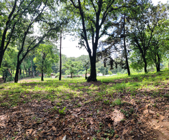 Terreno En Venta En El Área De San Lucas Sacatepéquez - Foto 4 de 6