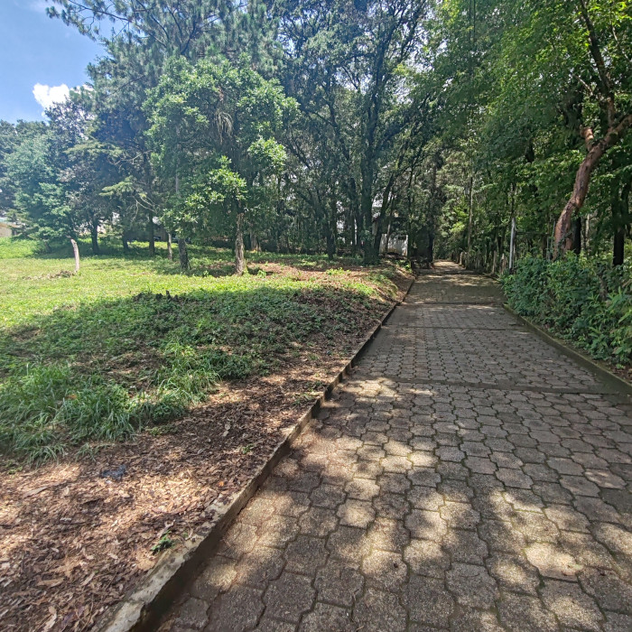 Terreno En Venta En El Área De San Lucas Sacatepéquez - Foto 2 de 6