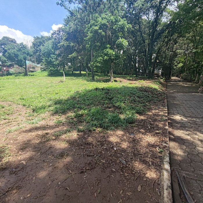 Terreno En Venta En El Área De San Lucas Sacatepéquez - Foto 5 de 6