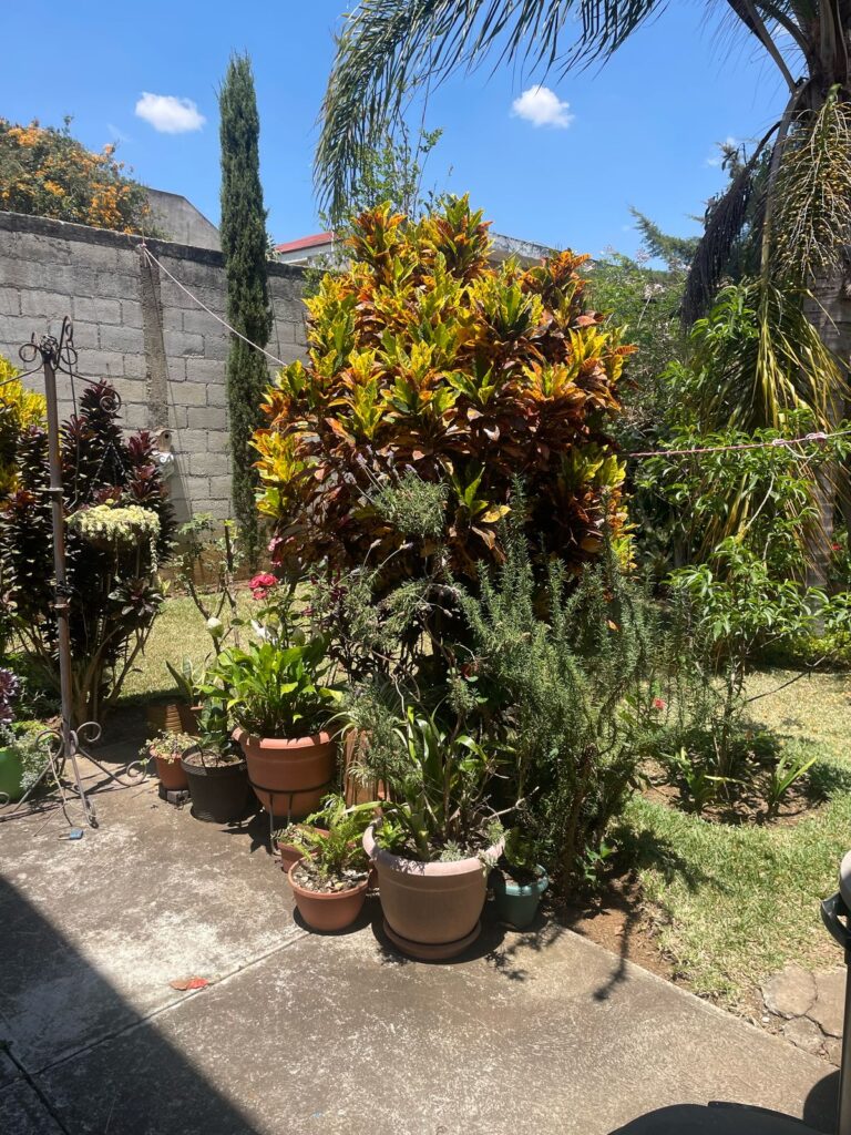 Casa En Venta En San Cristóbal Pinares II - Foto 3 de 9