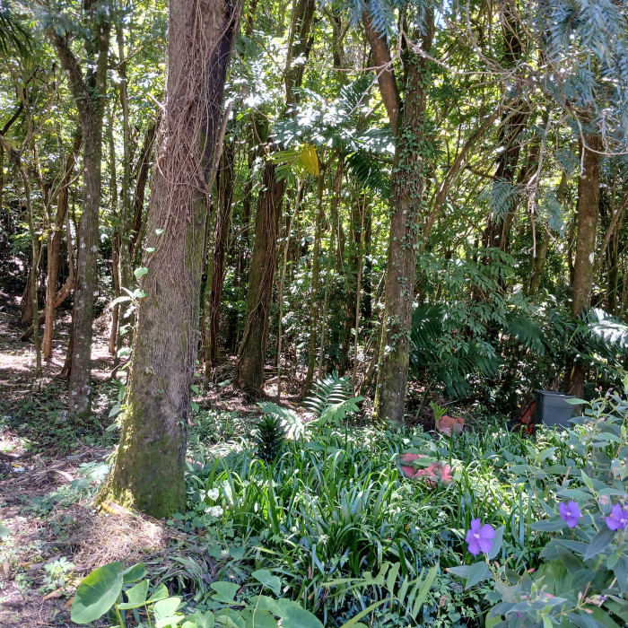 Terreno En Venta, Club Del Rio Fraijanes - Vista principal de la propiedad