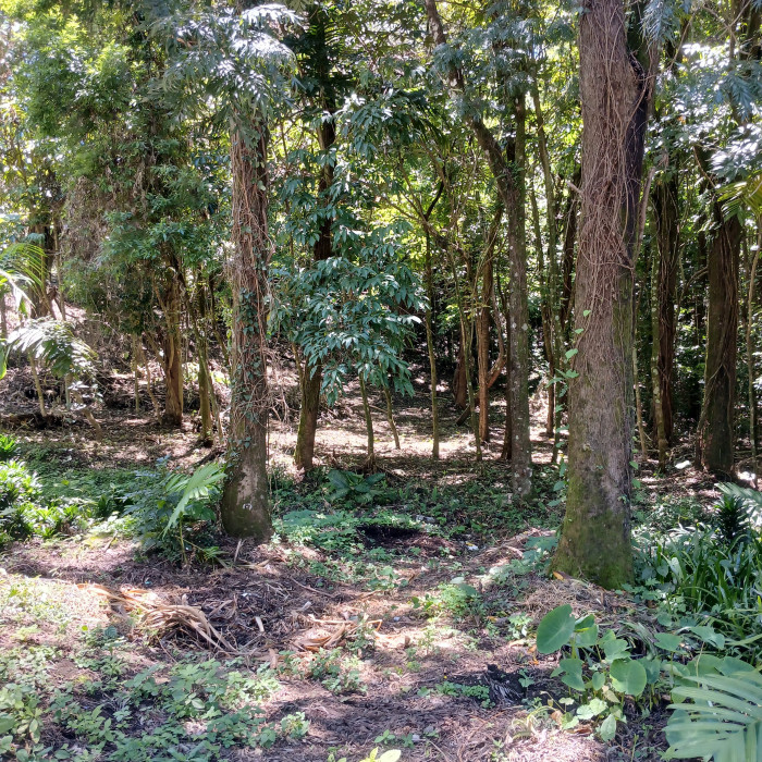Terreno En Venta, Club Del Rio Fraijanes - Foto 2 de 6