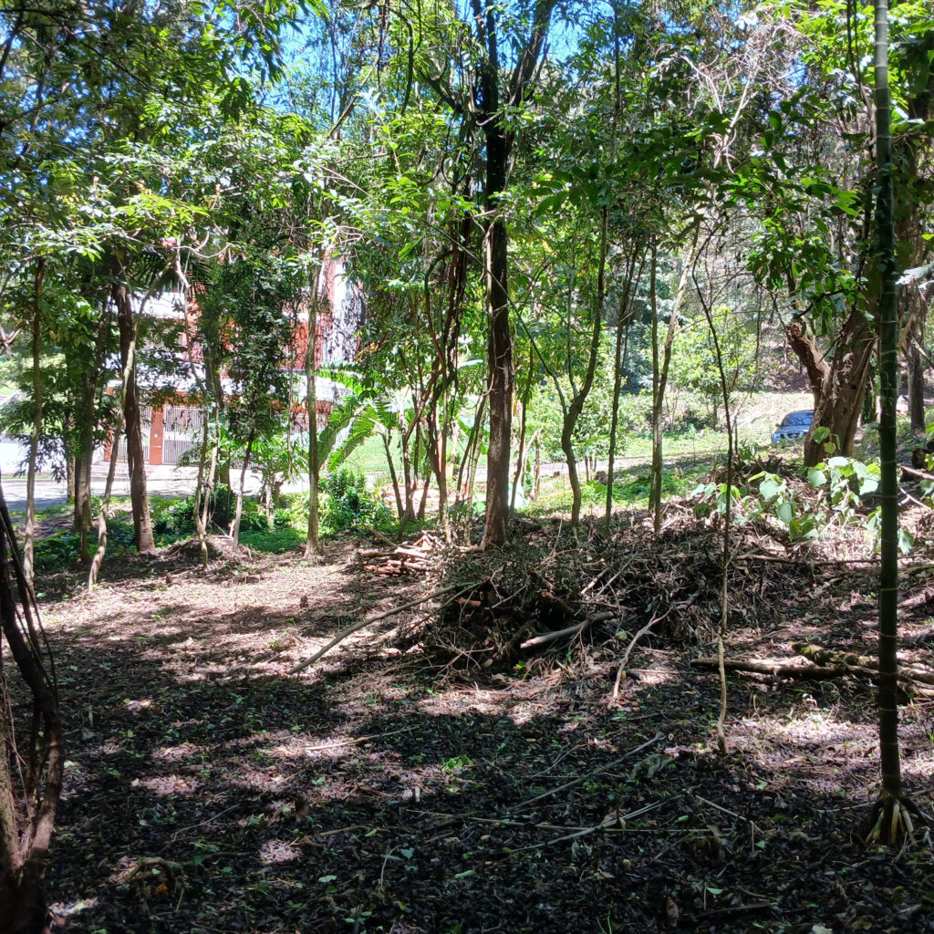 Terreno En Venta, Club Del Rio Fraijanes - Foto 3 de 6