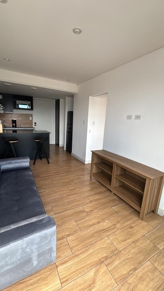 Apartamento Amueblado En La Zona 4 En Renta - Foto 4 de 8
