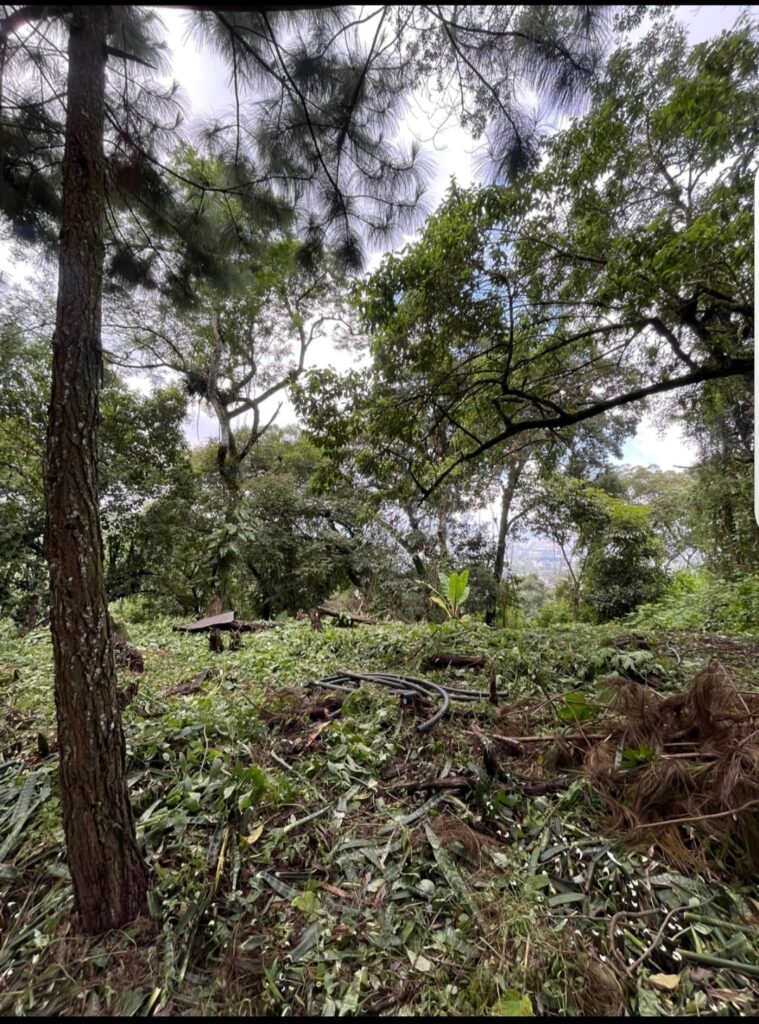Terreno En Venta Santa RosalÍa Desde 1000 Vr2, $175 Vara - Foto 3 de 4