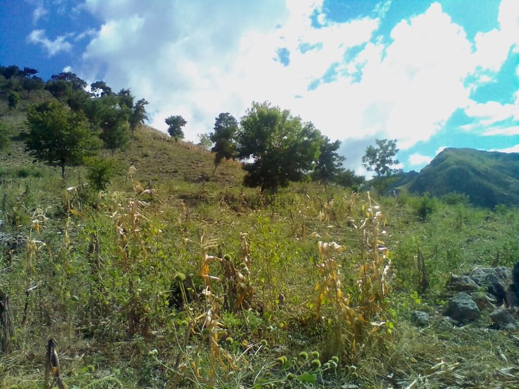 Finca En Venta Chiquimula 423,000 Mts2 $425,000 - Foto 5 de 11