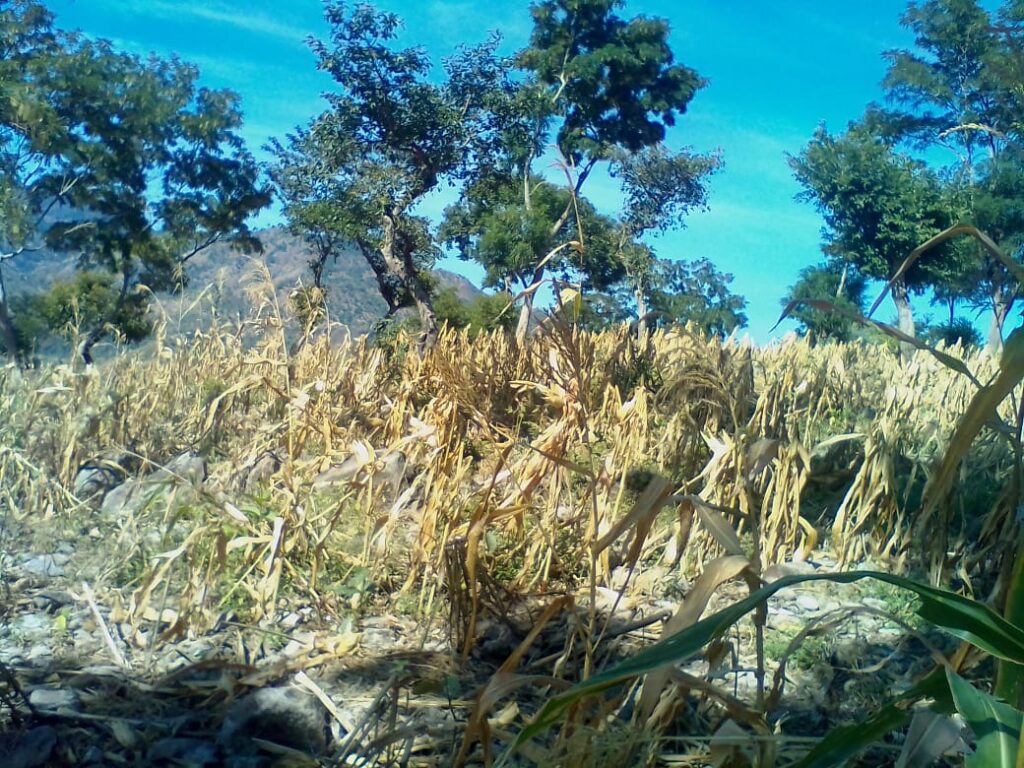 Finca En Venta Chiquimula 423,000 Mts2 $425,000 - Foto 4 de 11