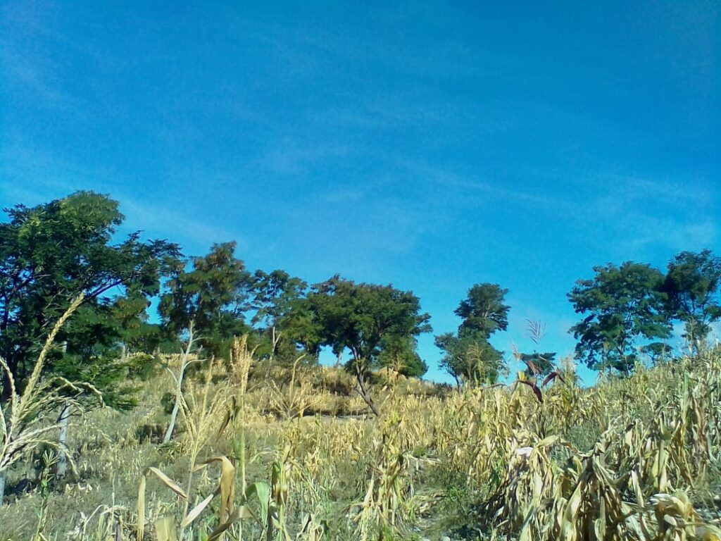 Finca En Venta Chiquimula 423,000 Mts2 $425,000 - Foto 3 de 11