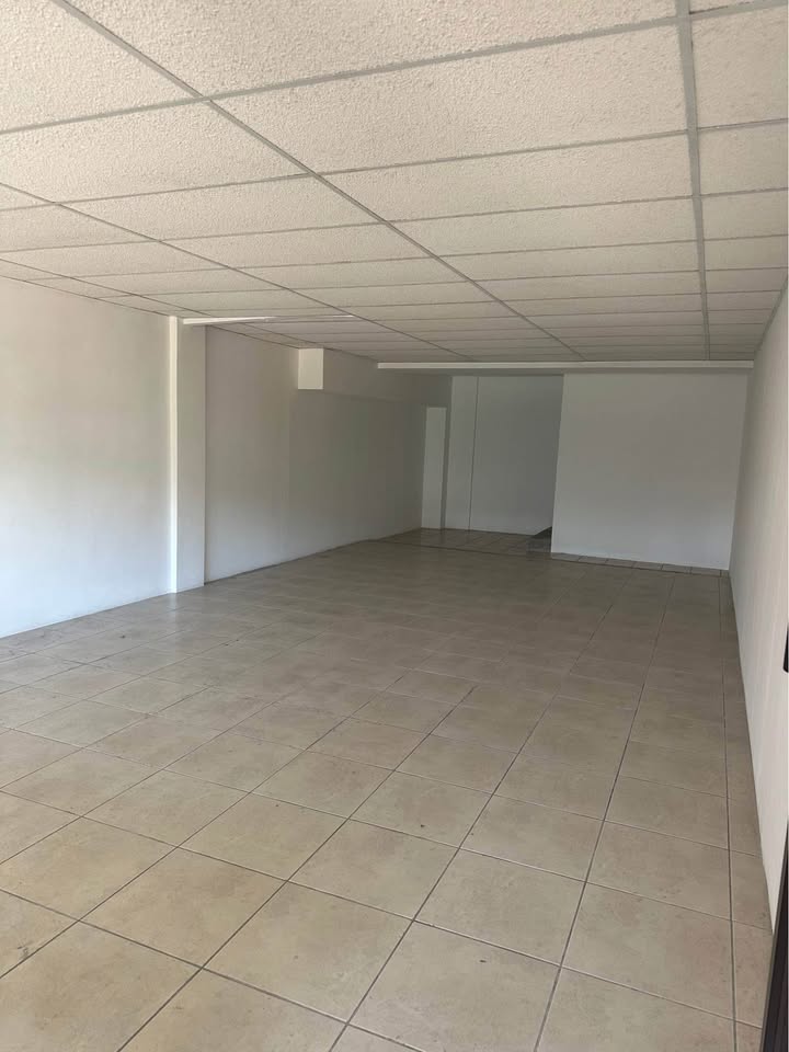 ¡impulsa Tu Negocio, Locales Comerciales En Renta–plaza Pinabetes! - Foto 2 de 11