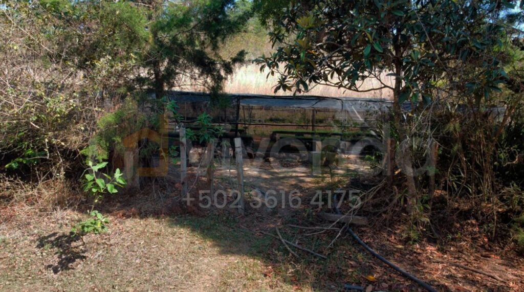 En Venta – Vendo Finca De 300 Manzanas Aldea La Ciénega, San Raymundo, Guatemala. - Foto 2 de 9
