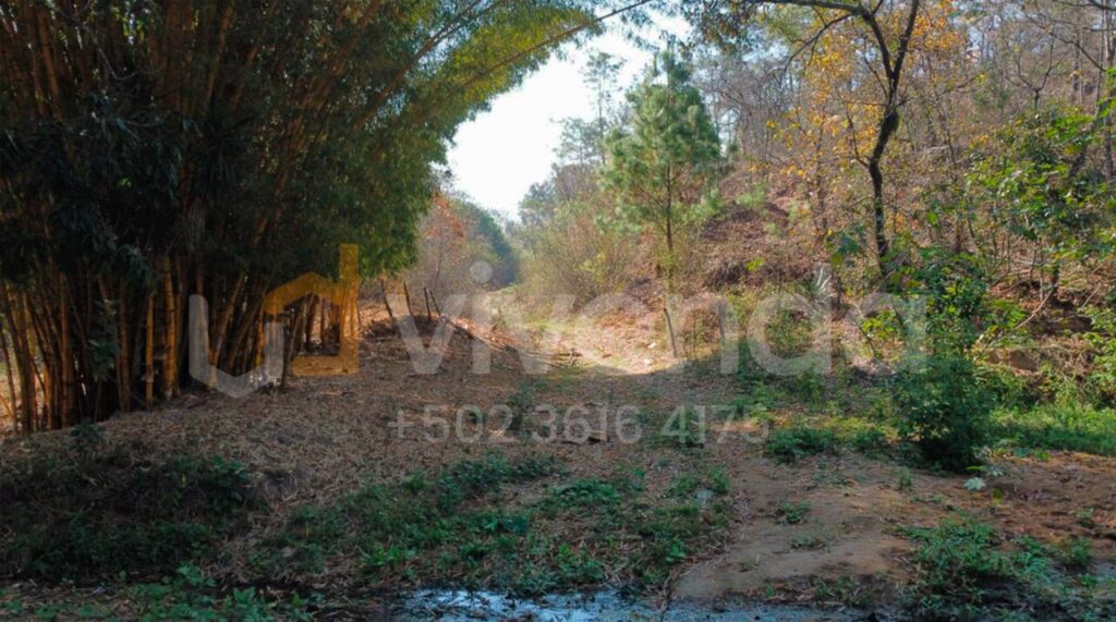 En Venta – Vendo Finca De 300 Manzanas Aldea La Ciénega, San Raymundo, Guatemala. - Foto 3 de 9