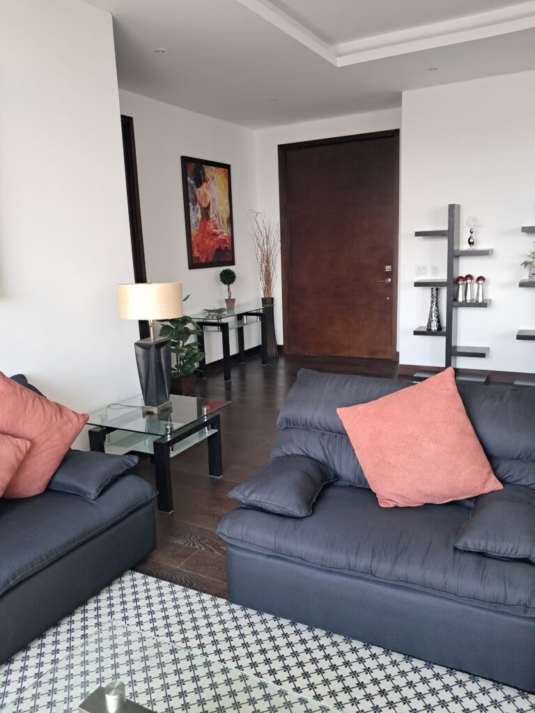 Apartamento En Renta Amoblado o Venta Sin Muebles - Foto 5 de 15