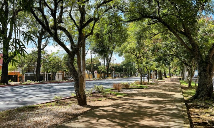 Apartamento En Pre-venta En Zona 2 Simeón Cañas - Foto 3 de 4