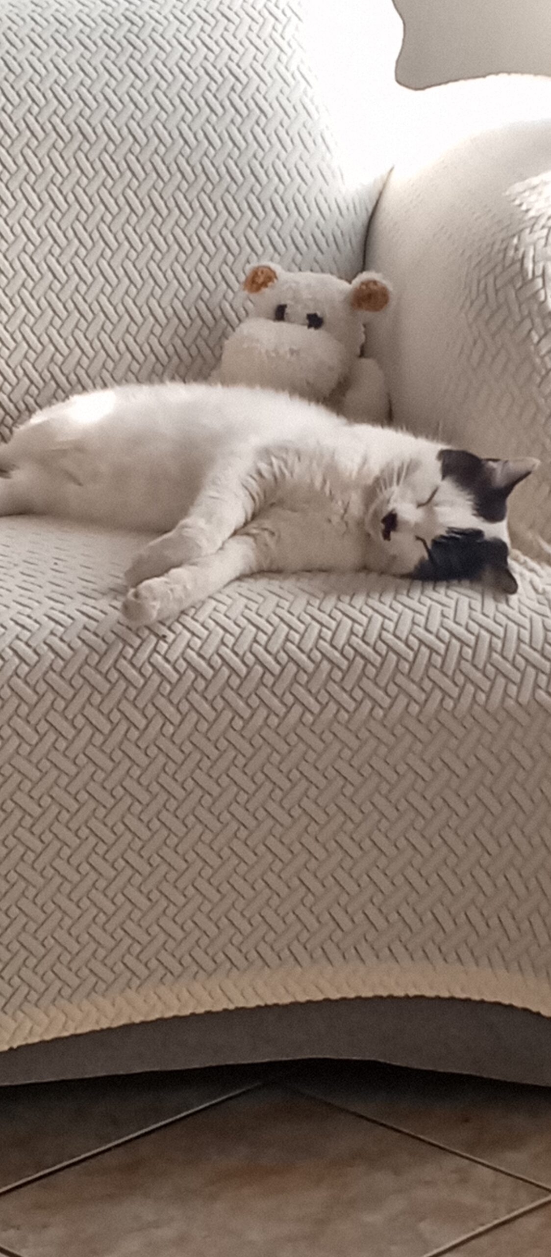 Estuardo Giron