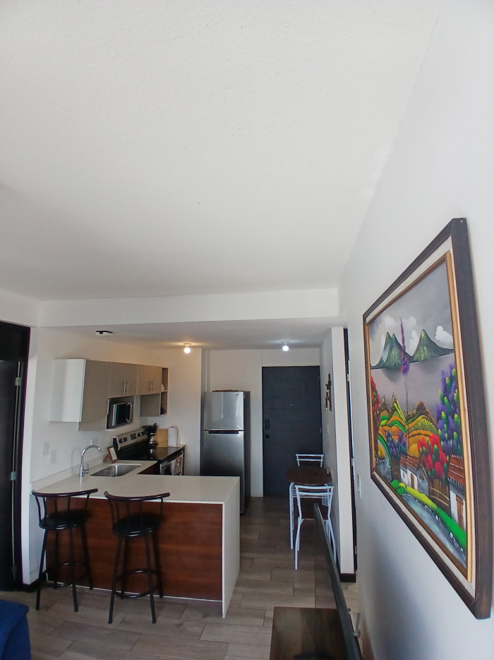 Apartamento En Venta En Zona 12 - Foto 4 de 9