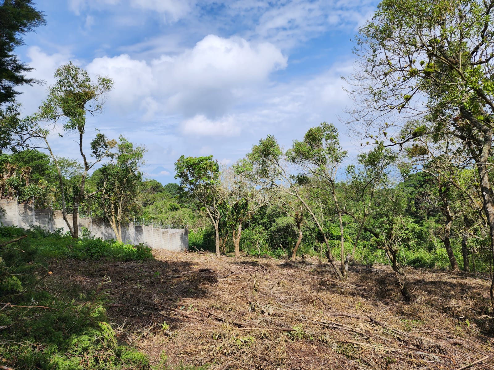 En Venta – Terreno En Finca San Vicente – Km 16.5 Carretera A El Salvador