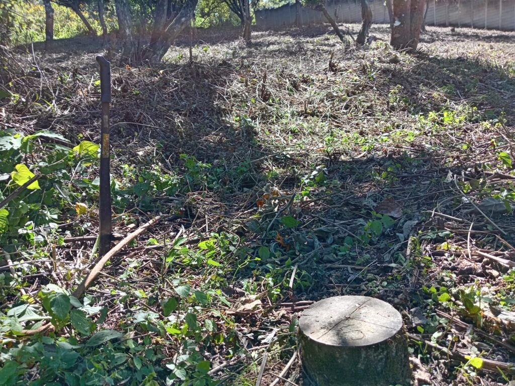 En Venta – Terreno En Finca San Vicente – Km 16.5 Carretera A El Salvador - Foto 2 de 3