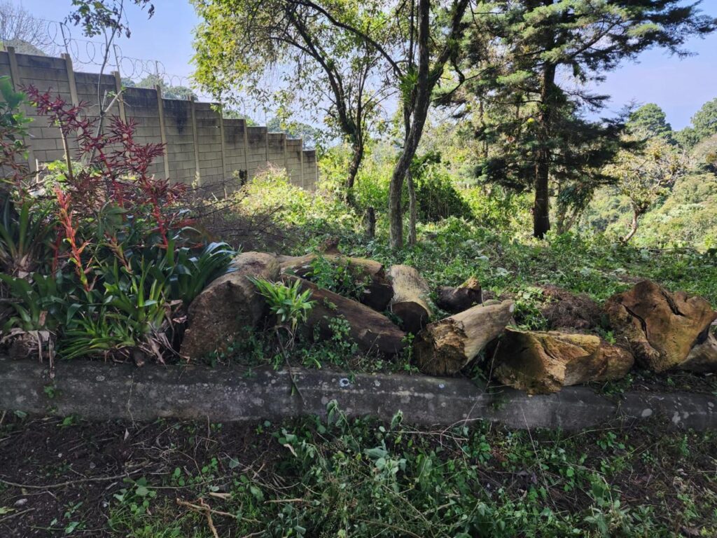 En Venta – Terreno En Finca San Vicente – Km 16.5 Carretera A El Salvador - Foto 3 de 3