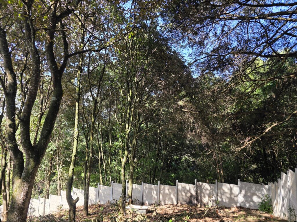Hermosa Casa De Venta En San Bartolomé Milpas Altas - Foto 3 de 15