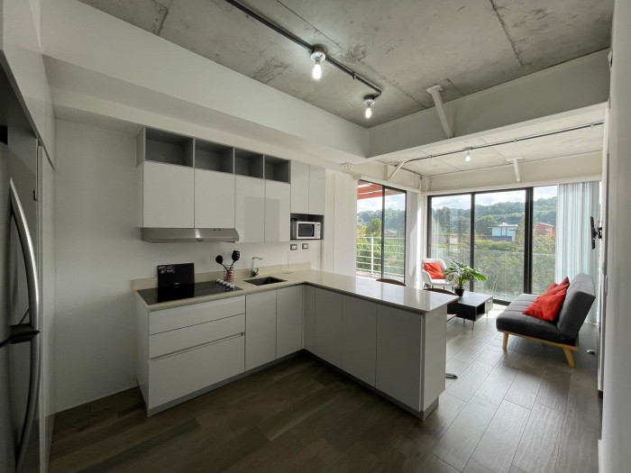 Apartamento En Renta En Zona 16