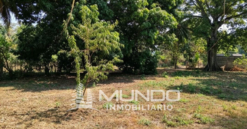 Terrenos En Venta En Aldea Obero, Masagua, Escuintla - Foto 4 de 10