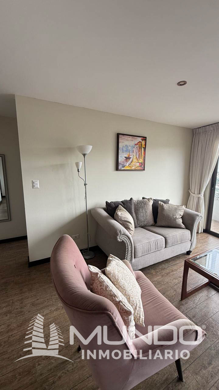 En Alquiler – Apartamento Amoblado Y Equipado Una HabitaciÓn Z. 15
